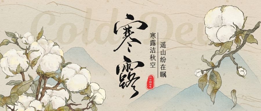 JWT | 寒露临・专业守护每一刻